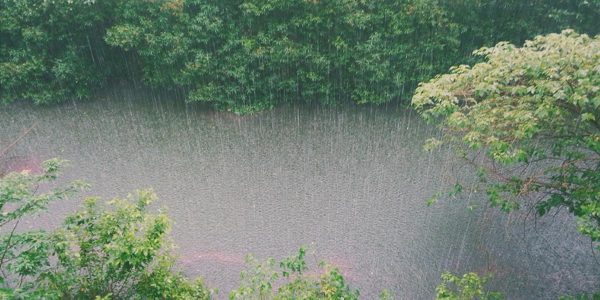 বাদলা দিনে